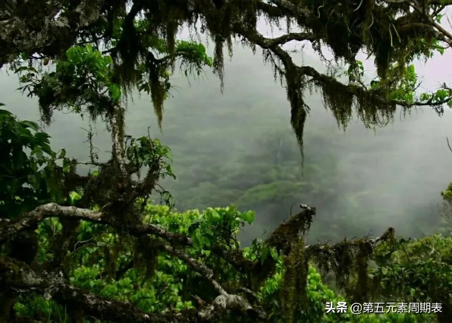 印度洋里的那些事,斯里兰卡印度洋上明珠之国