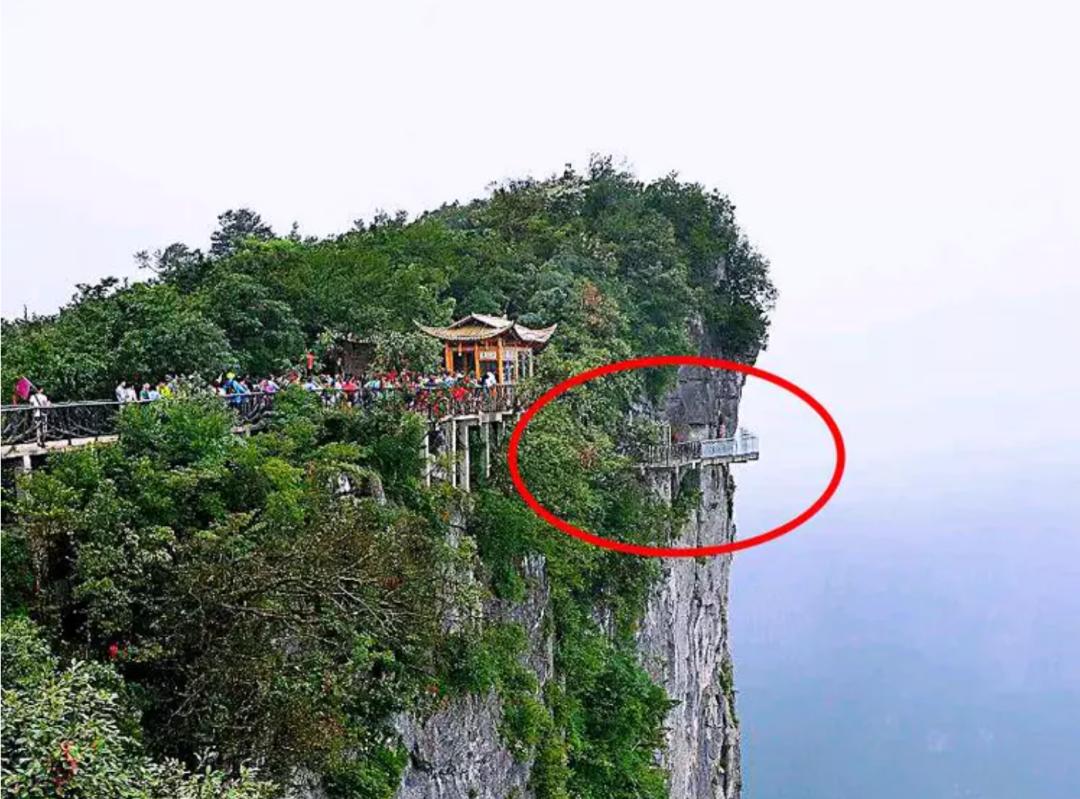 “约着一起死的群聊”！他们来自全国各地，只为了结伴自杀