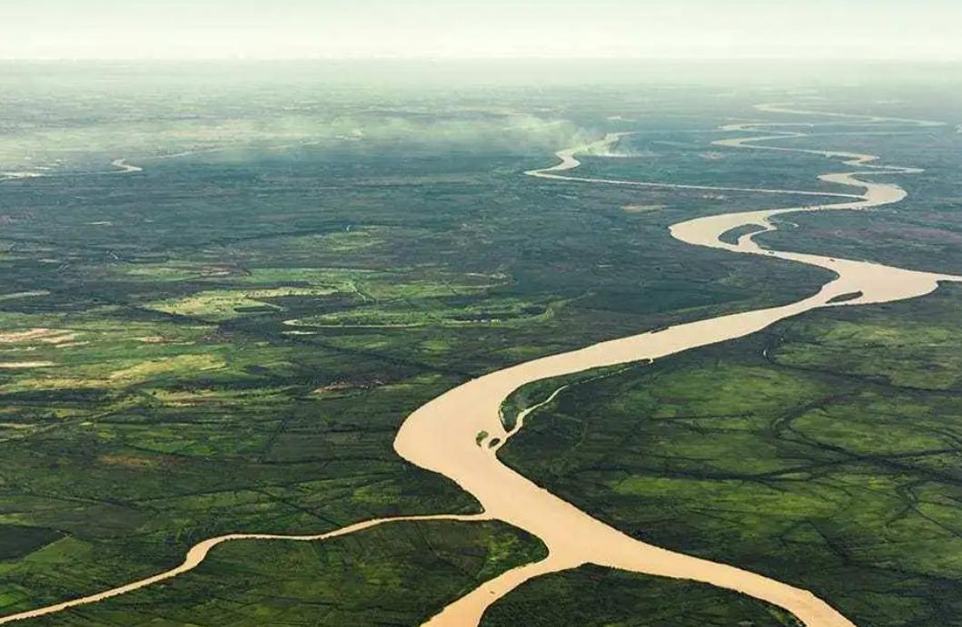 巴西炸出1000斤巨蟒是真的吗,亚马逊河巨大的蟒蛇有多恐怖视频