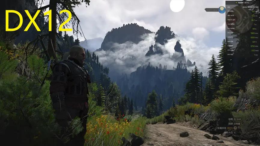 巫师3狂猎switch怎么调帧数,巫师3次世代3060画质最佳配置