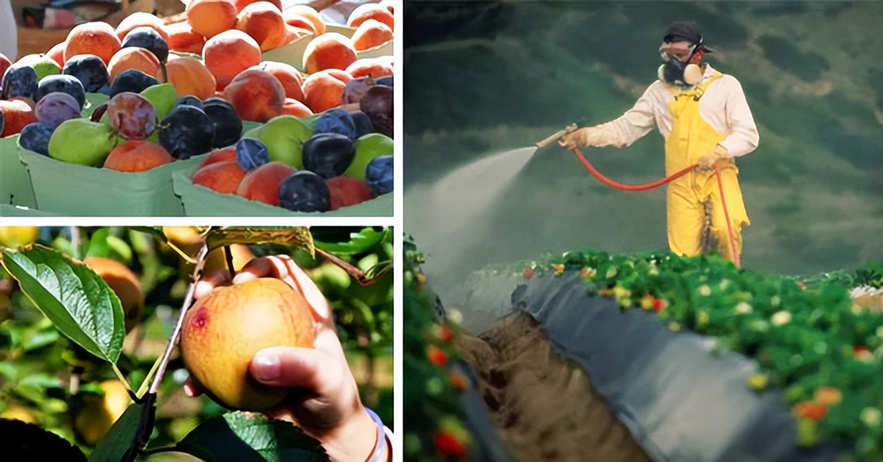 鲜榨果汁和现榨果汁的区别,最新鲜的鲜榨果汁