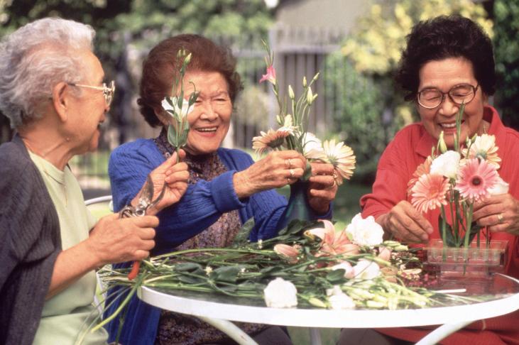 日本养老服务现状及保险业举措,日本养老产业发展政治政策