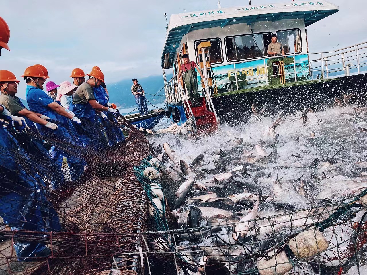 中国最厉害民间组织,中国五大民间组织