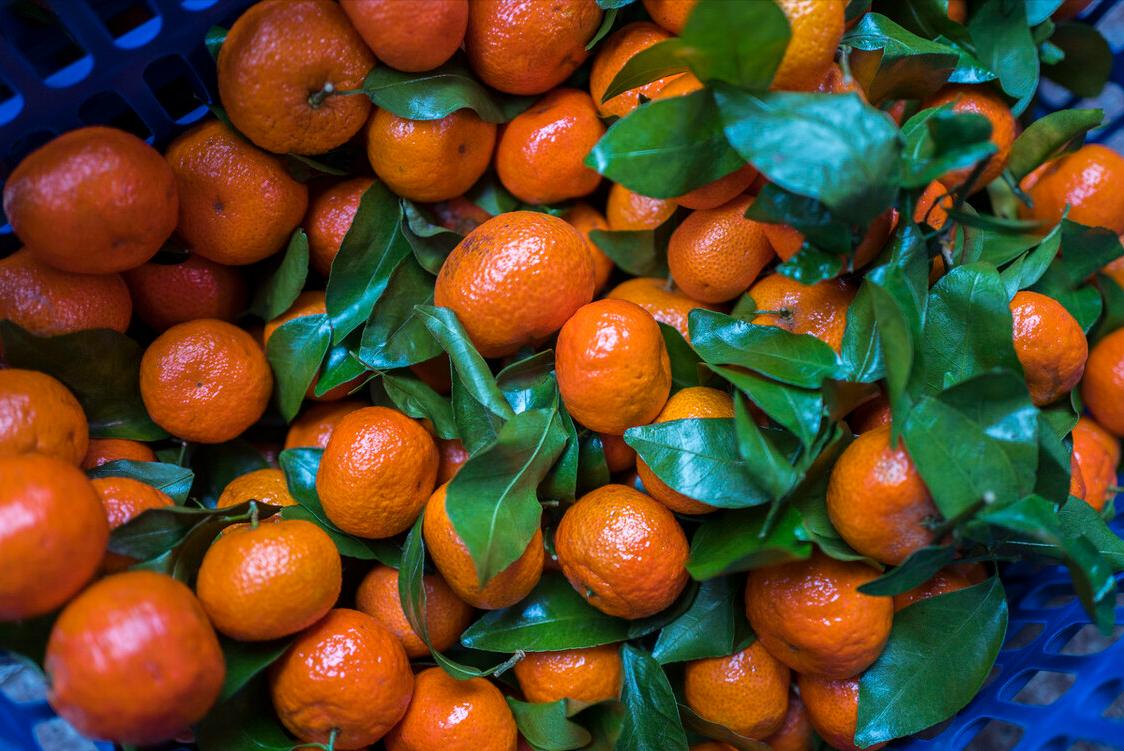 所有小橘子都是沙糖桔吗,沙糖桔跟小橘子区别