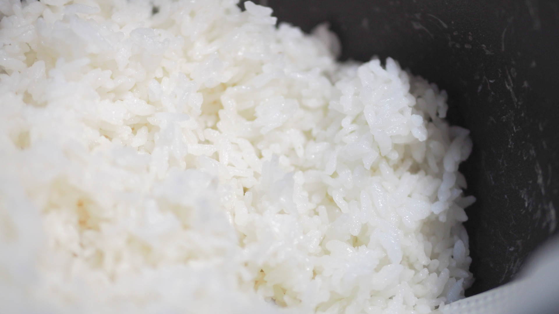 厨艺越差越要好装备｜东芝电饭煲10LTC