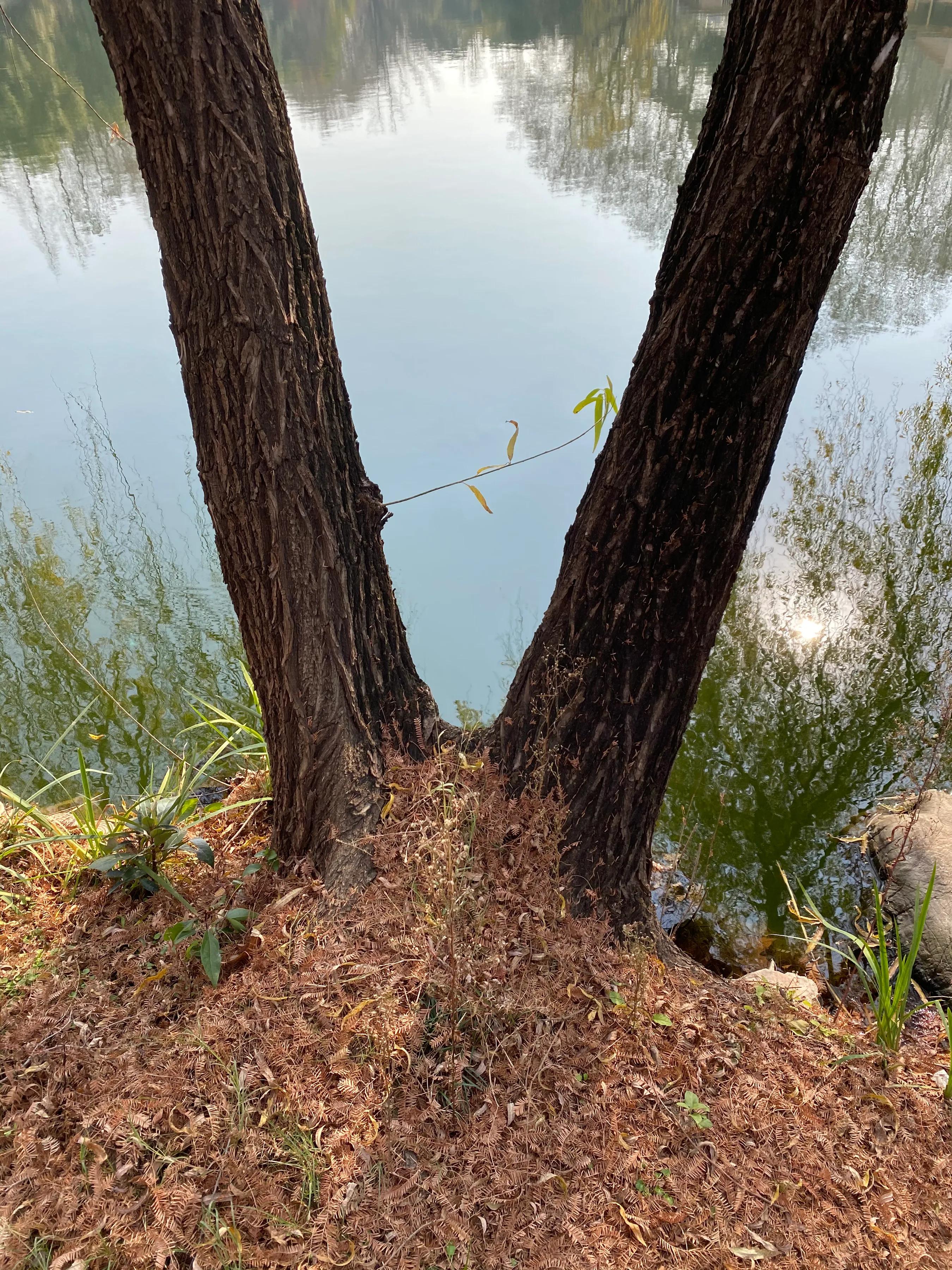 我男朋友欠贷款了要不要借钱给他,贷款不够找朋友帮忙贷