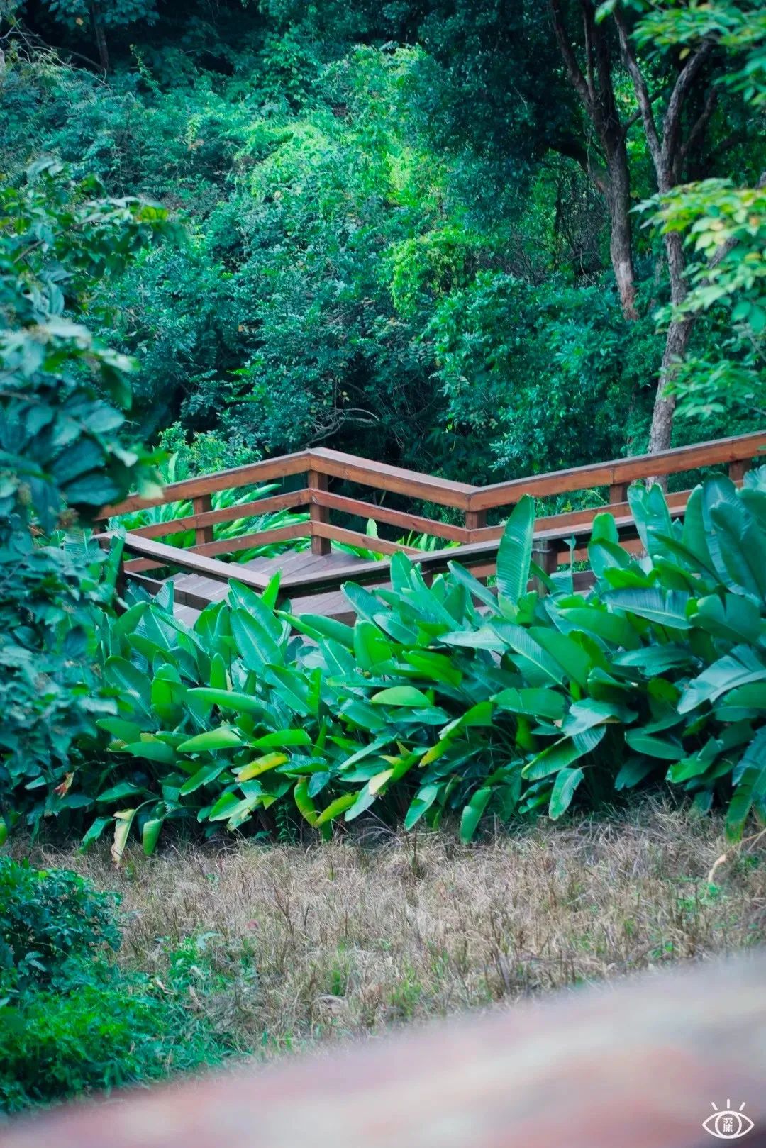 深圳户外游玩攻略,深圳户外好玩的地方推荐