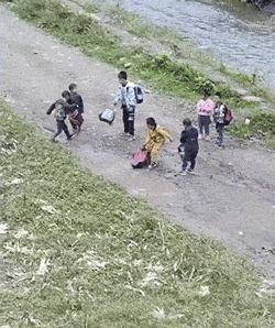 “是小蛇出了轨，还是青蛙劈了腿？”这是现实版的美杜莎？哈哈