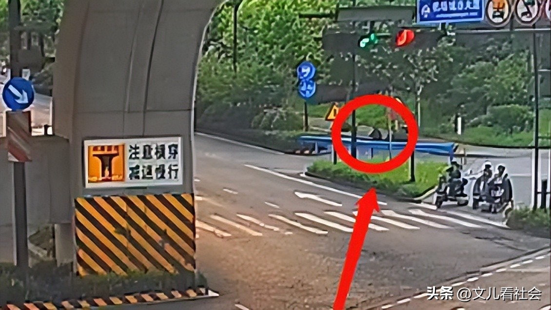 杭州男子被困绿化带多日,男子迷路被困绿化带四天三夜