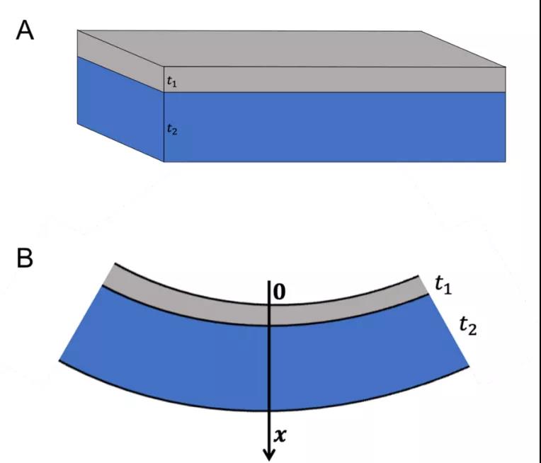 华人科学家参与的研究,华人科学家打造机器人