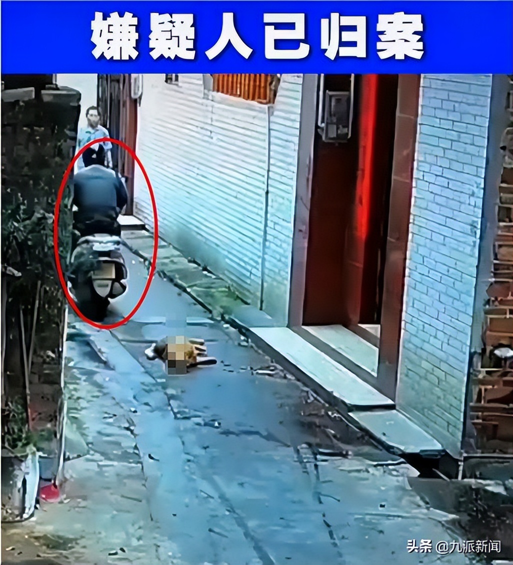 狗被喷了毒药,狗被喷毒药倒地