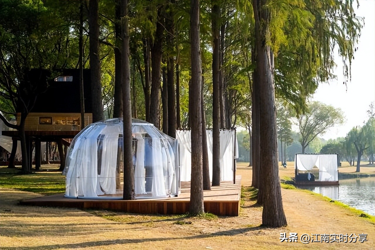 太湖鼋头渚樱花谷唯美浪漫,无锡太湖鼋头渚赏樱攻略