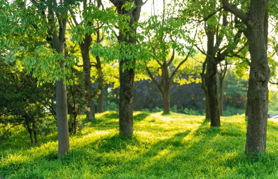 三月晦日偶题宋秦观,三月晦日偶题秦观古诗朗读