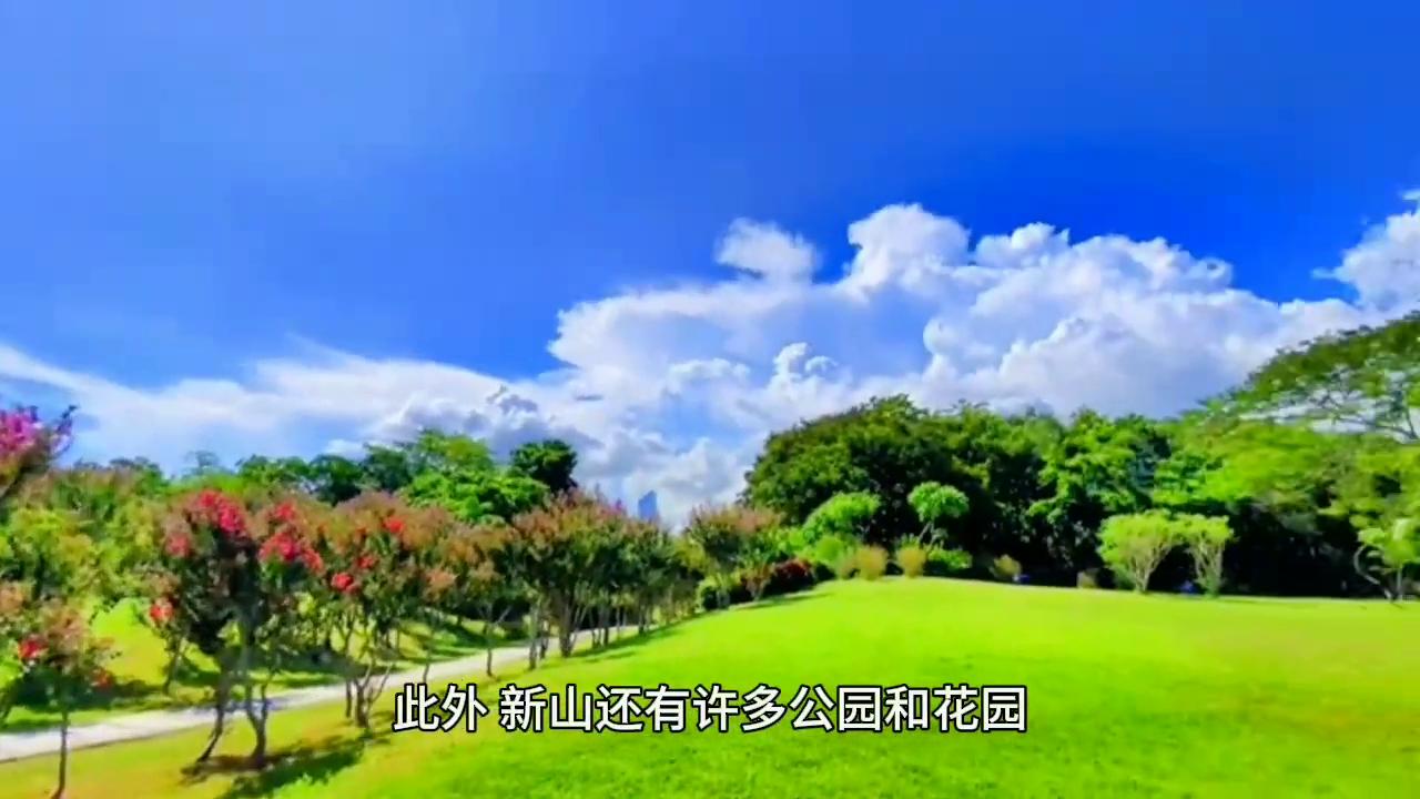 新山顶级社区,新山华人最多的地方