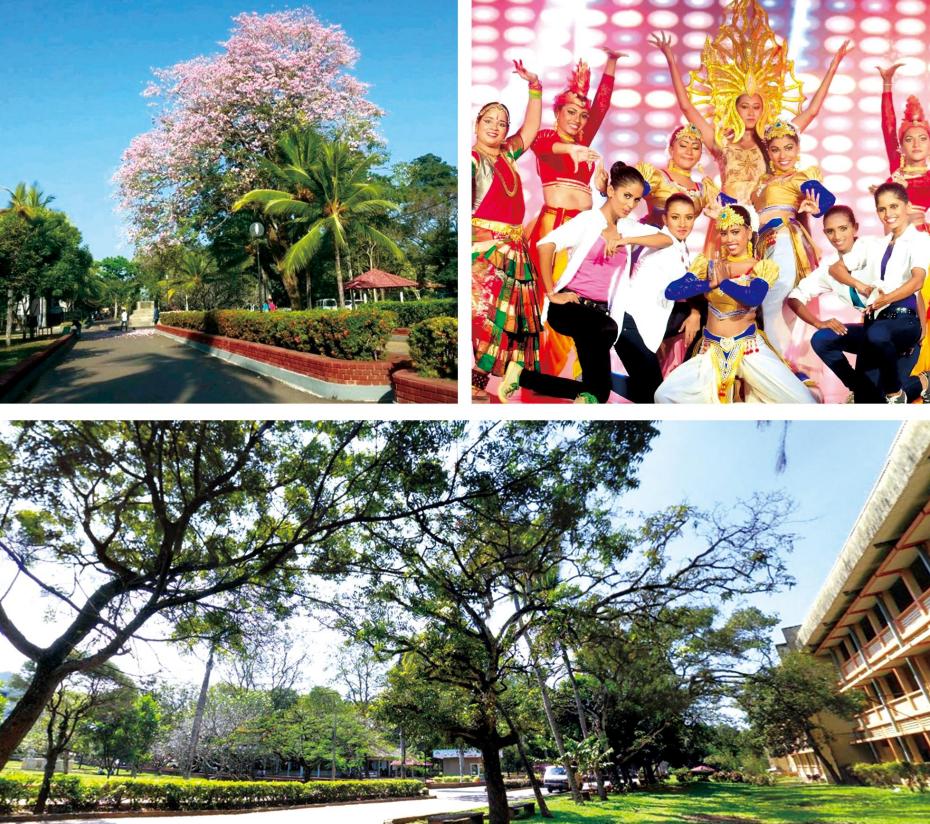 全日制大专可申请|斯里兰卡首都大学1年制经济学硕士