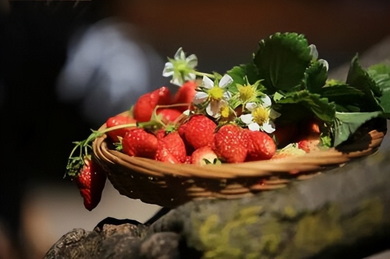 来农家乐的乐趣,来山水农家享受大自然的美景