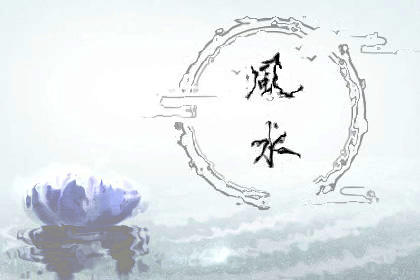 家里进壁虎了要不要把它打下来,家里进了壁虎怎么驱赶