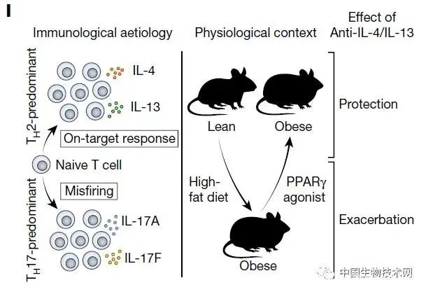 Nature：肥胖不仅让湿疹更严重，而且还会让治疗药物产生反作用
