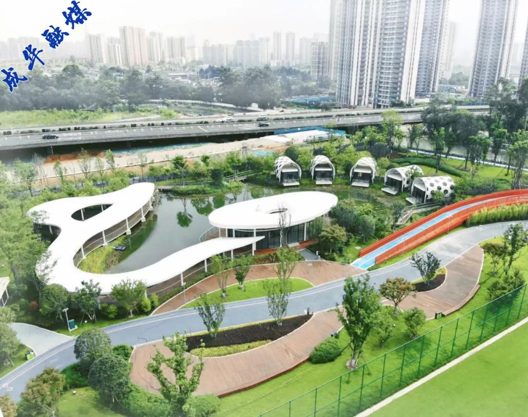 真燃！“国字头”的足球赛在家门口开赛！|成华融媒