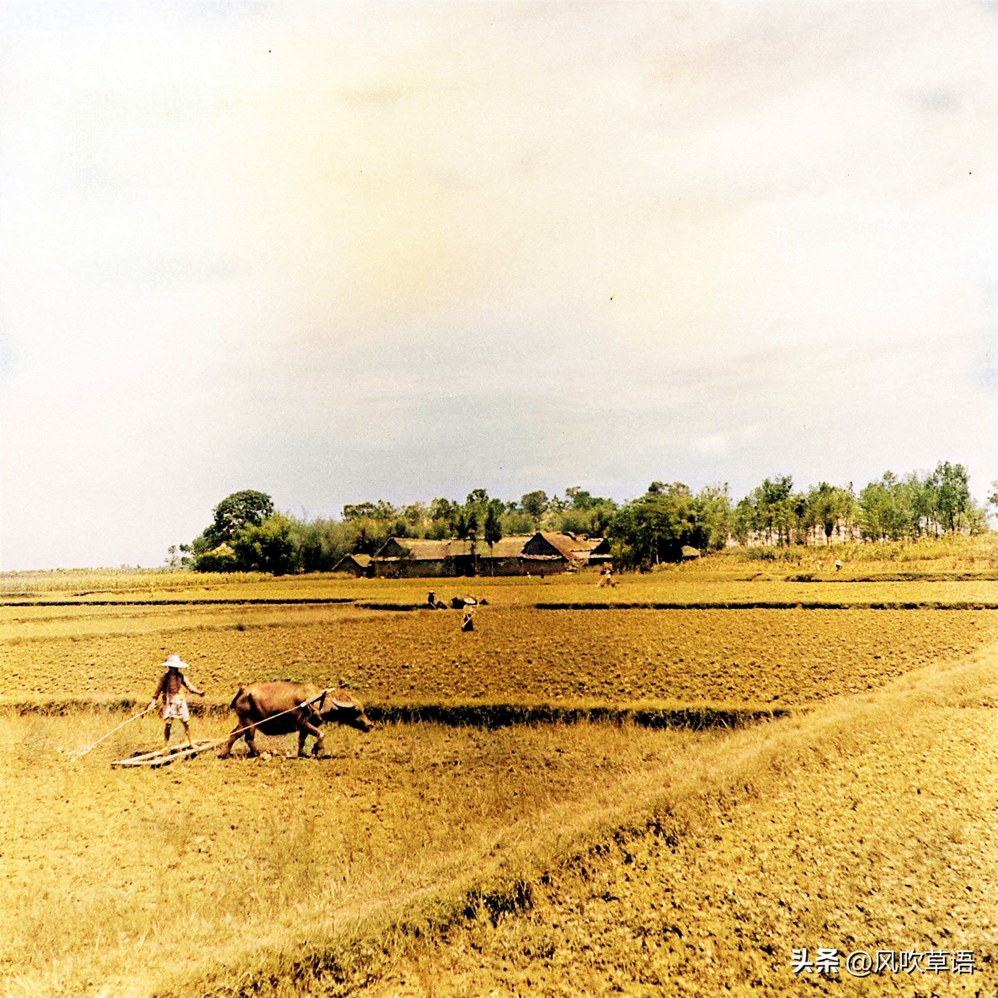 1941年龙泉驿老照片,美国人眼中的成都