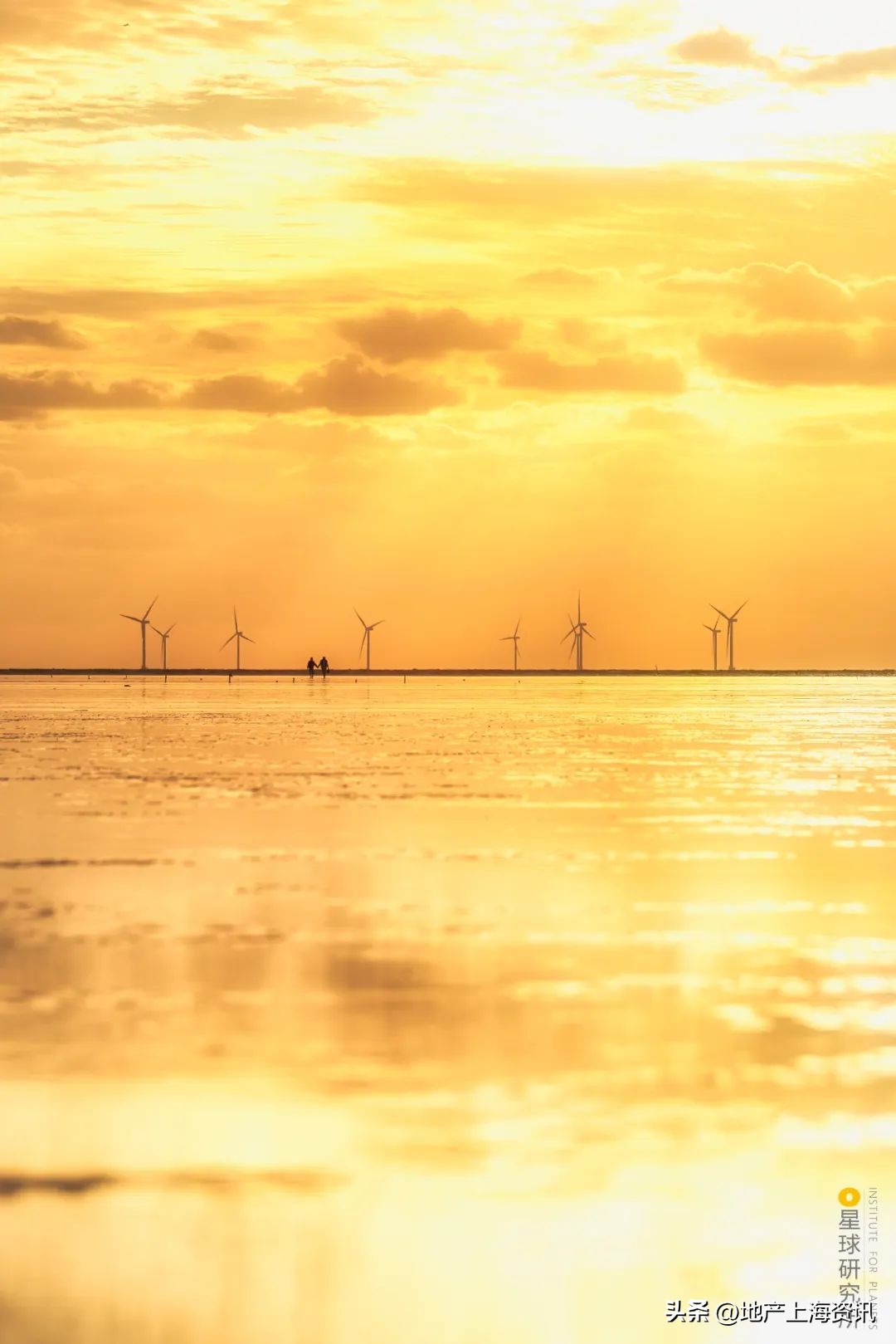 上海为什么需要洋山港,临港会是上海未来最好的地方吗