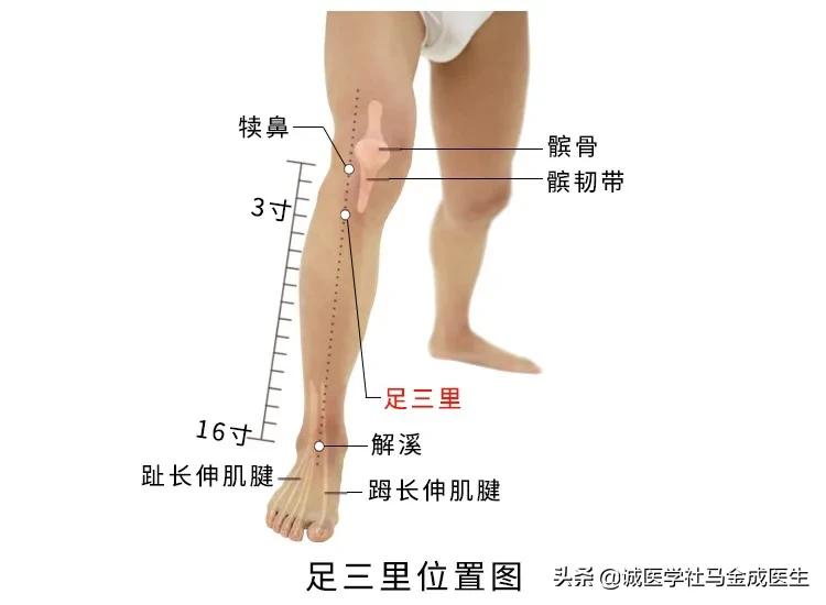 调理全身气机升降的穴位,腹胀气滞便秘吃什么药