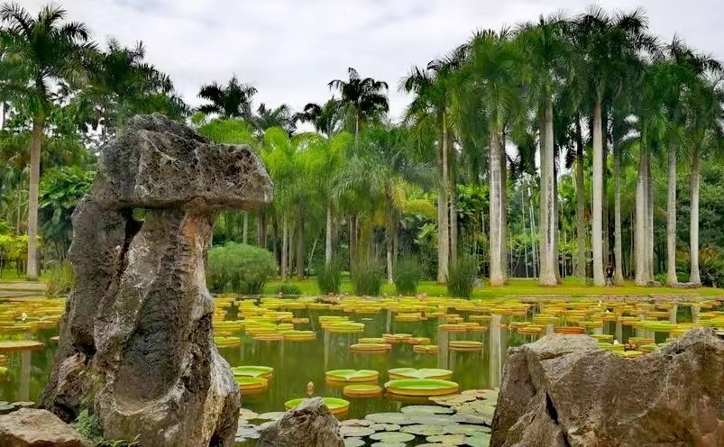 云南建水旅游十大必去景点,云南丽江十大旅游景点