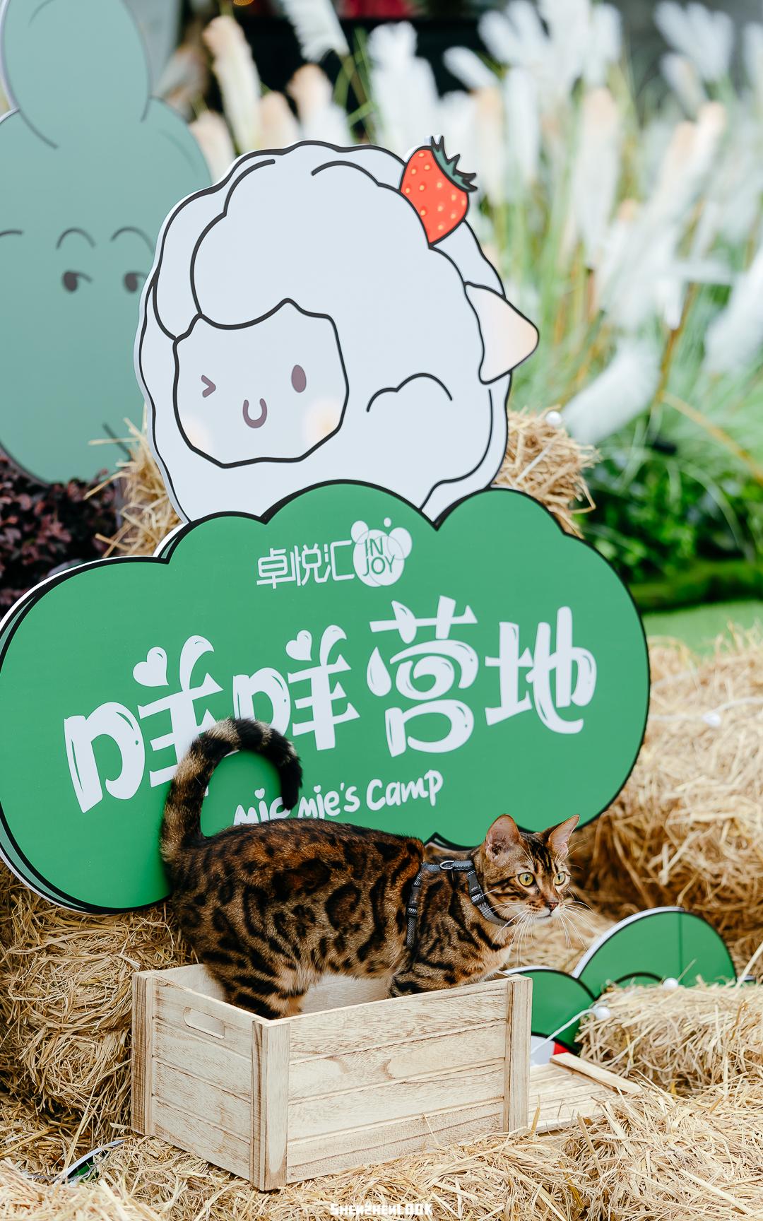 618大促商场,618大促活动实体店有吗