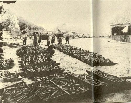 中国钓鱼小岛,中国钓鱼岛在哪里