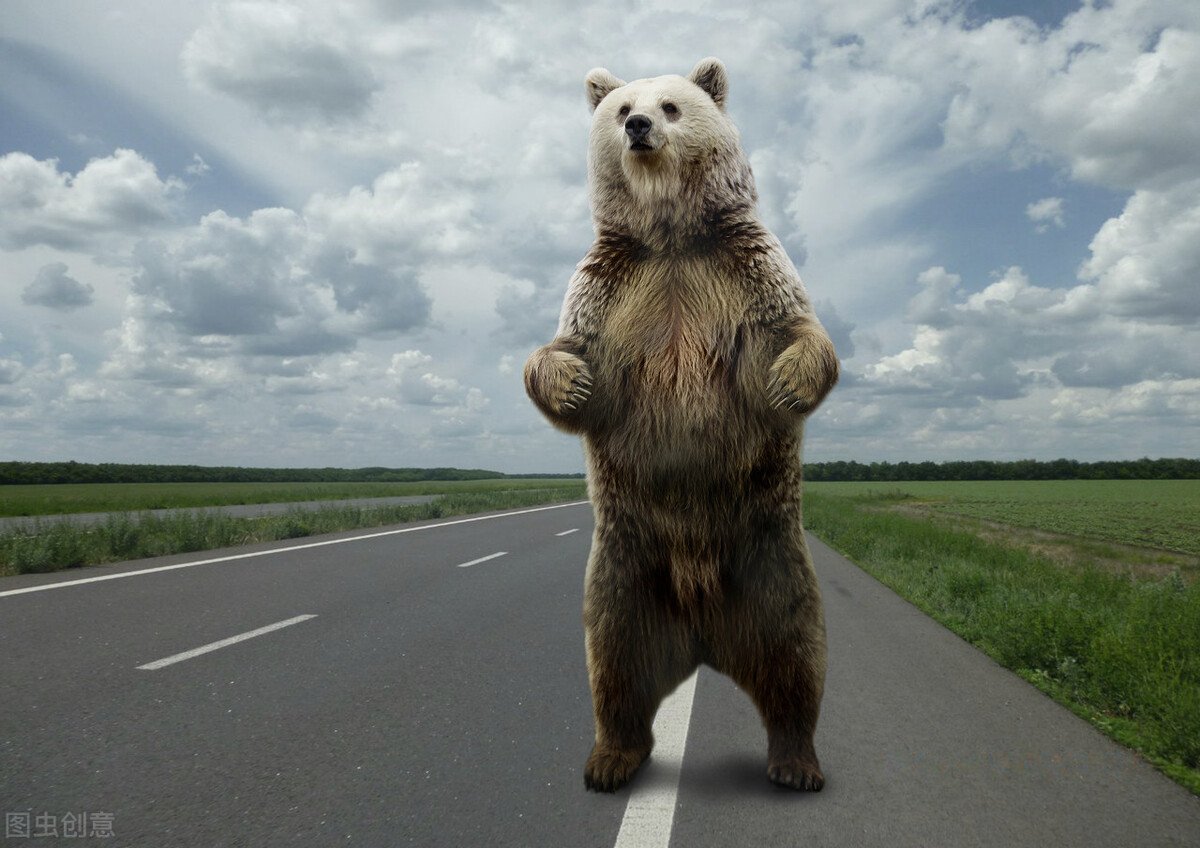 反弹见顶什么意思,反弹过程中要回补缺口吗