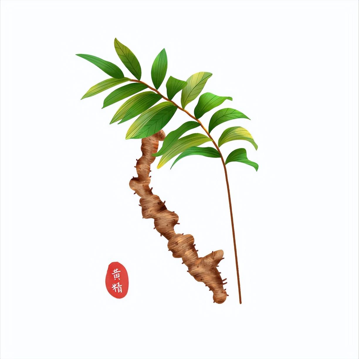 补肾的啥药可以滋阴补阳,滋阴降火补肾益精的有什么中药