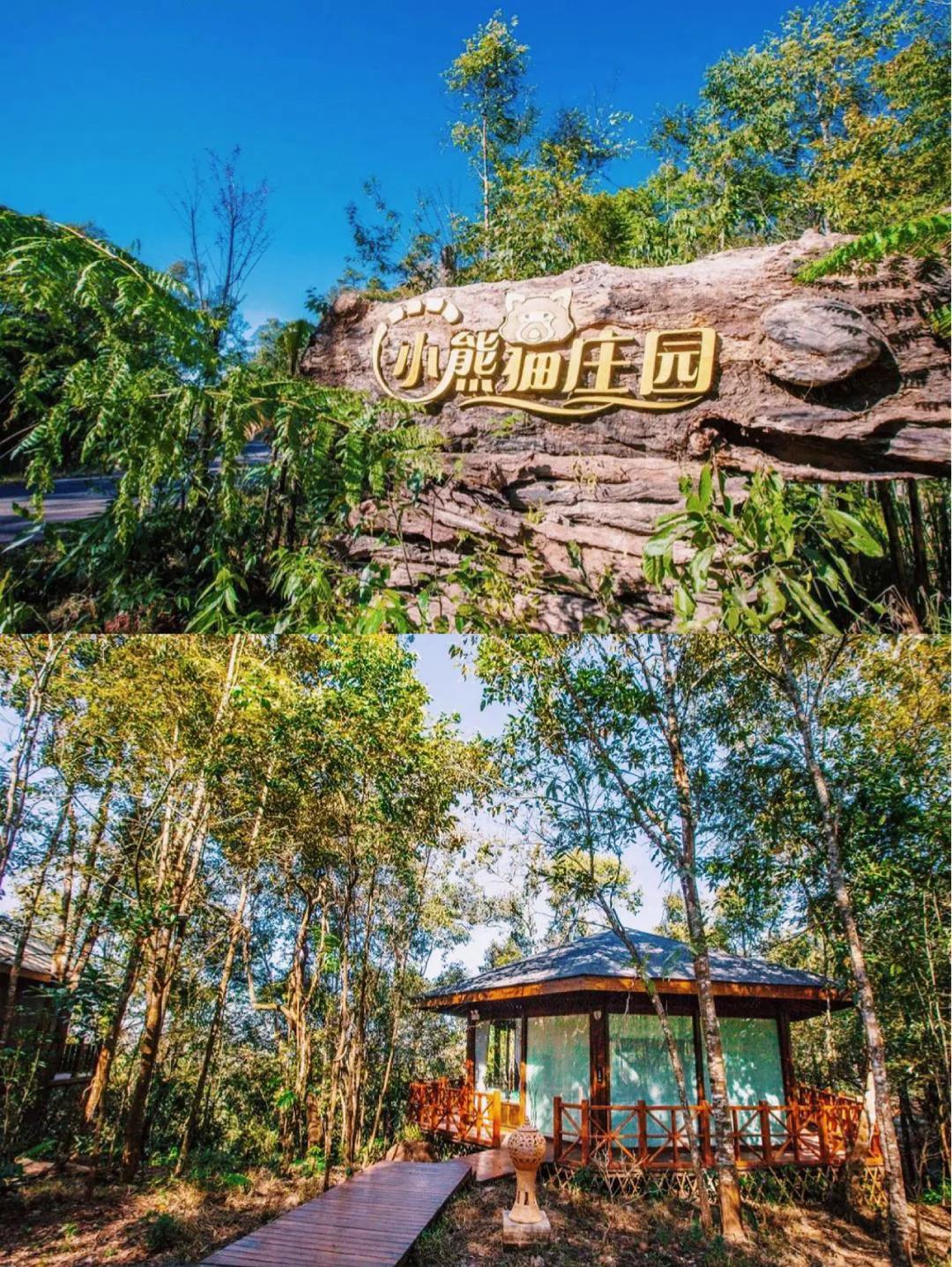 最被低估的大城市,被低估的普洱