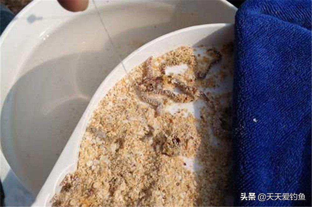 钓鱼技巧野钓中的4大万能技巧,新手野钓的十大钓鱼技巧