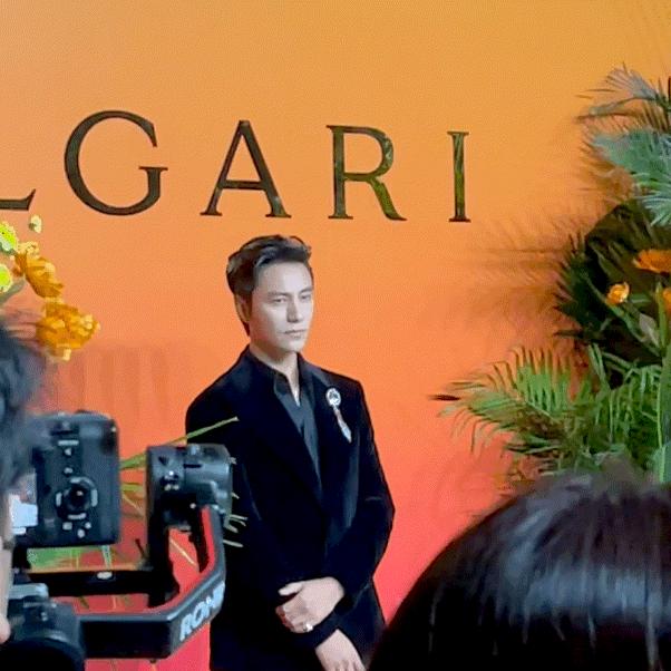 赵露思红毯一言难尽,赵露思倪妮红毯