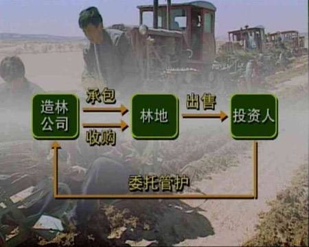 明星代言出现负面事件需要赔偿吗,近三年明星代言失败案例