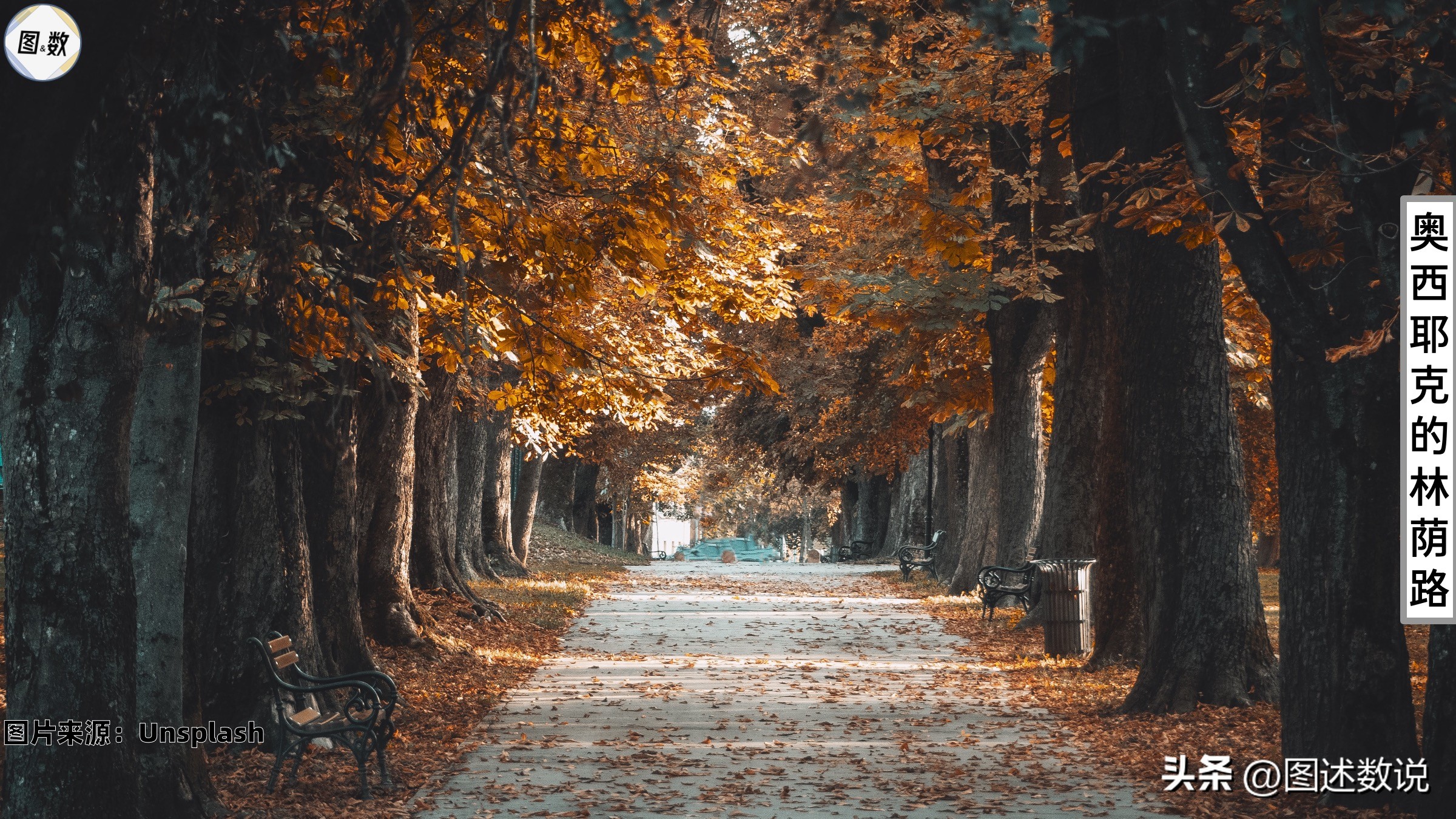 克罗地亚国土面积和人口多少,克罗地亚足球实力有多强