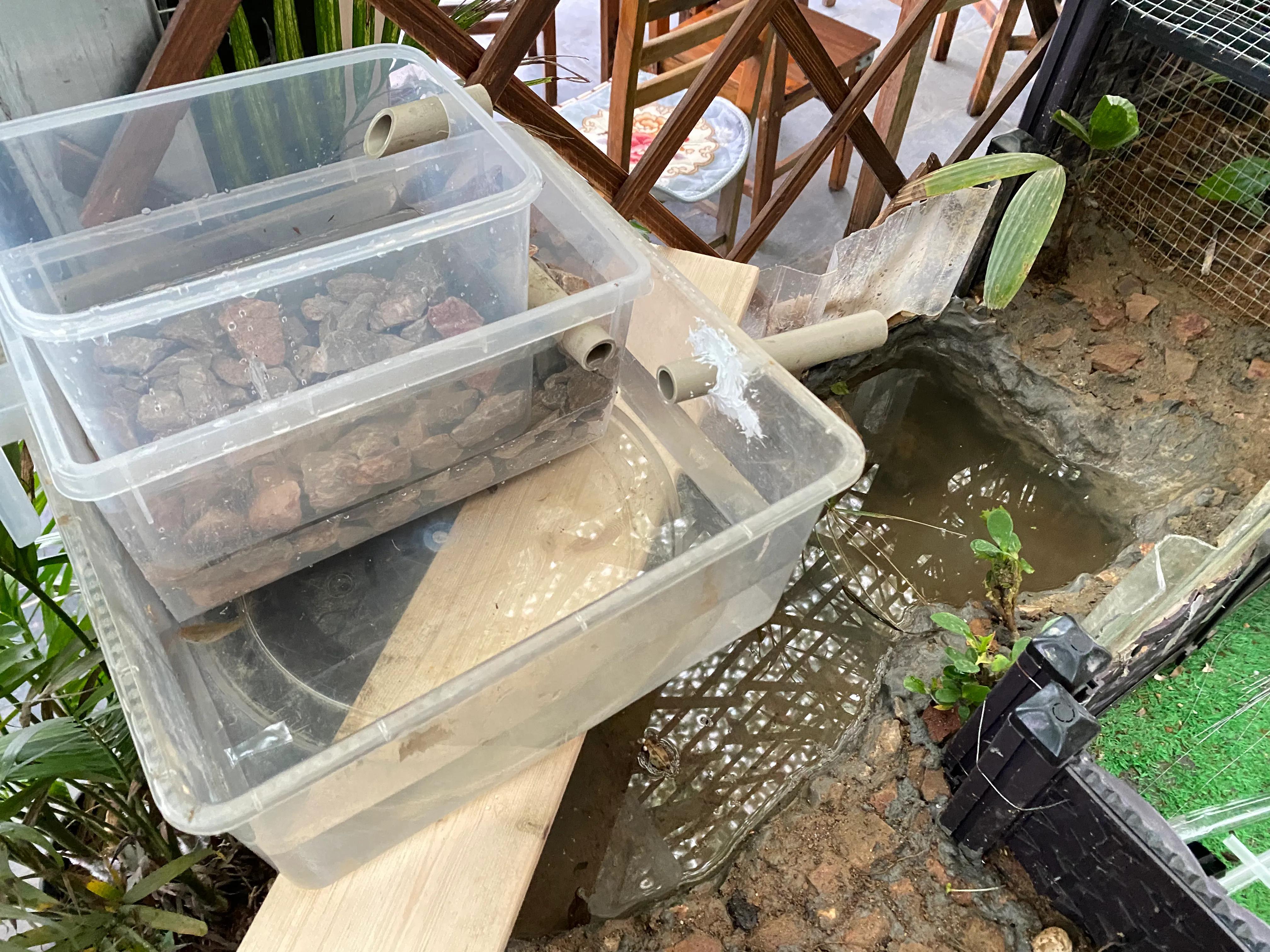 无过滤养龟怎么保持水质清洁,深水养龟用什么过滤效果最好