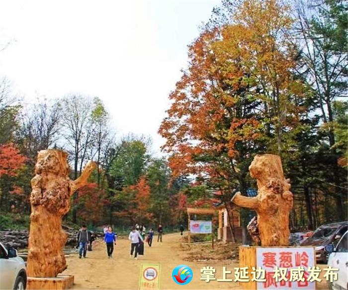 层林尽染色彩斑斓,层林尽染秋之韵图