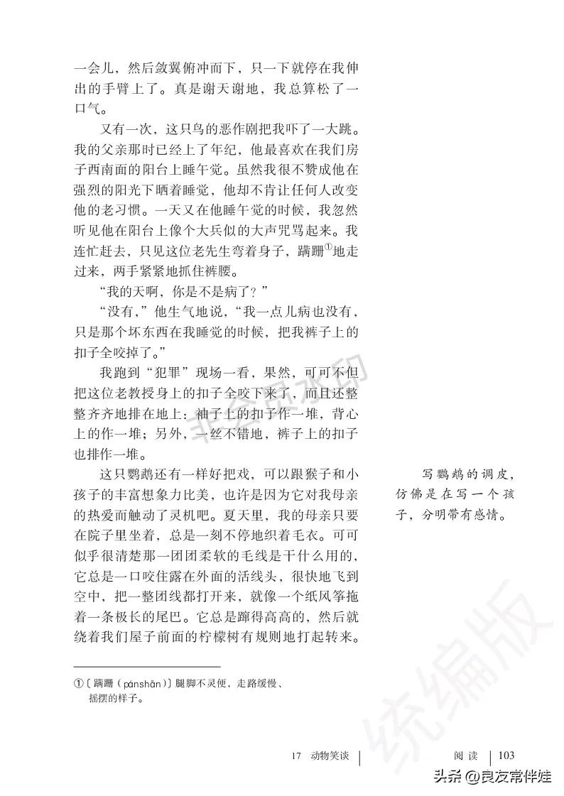 七年级语文课本电子完整版,七年级上册语文教材基础知识手册