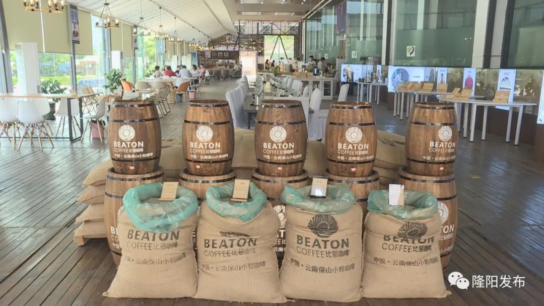 比顿咖啡园视频,潞江坝比顿咖啡产业文化园