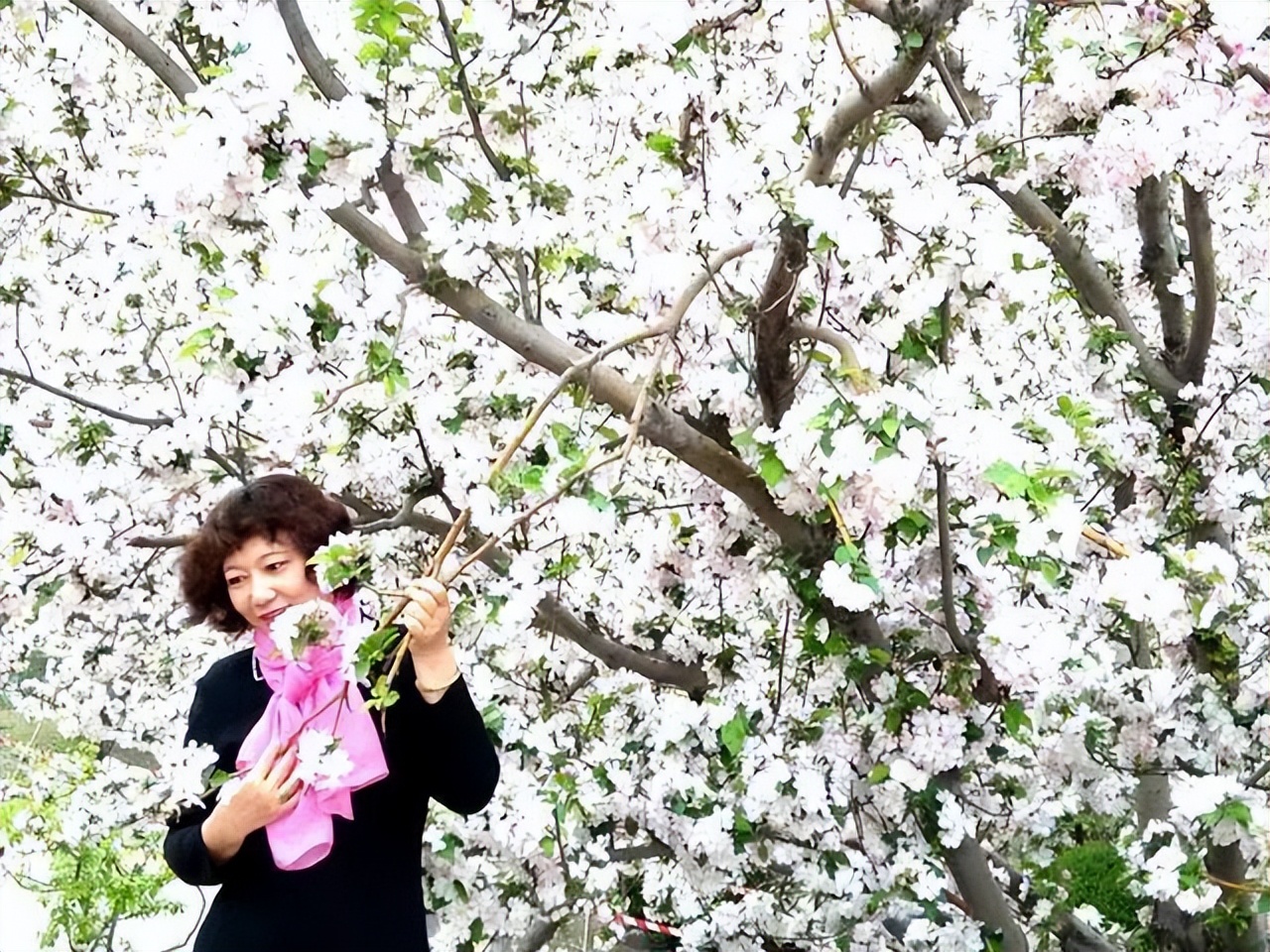 命苦不苦就看五十五什么意思,老年苦不苦就看六十五什么意思