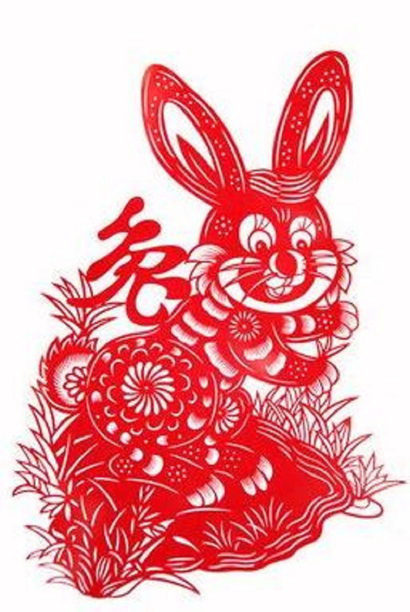 十二生肖歇后语4字,十二生肖歇后语兔子拉车