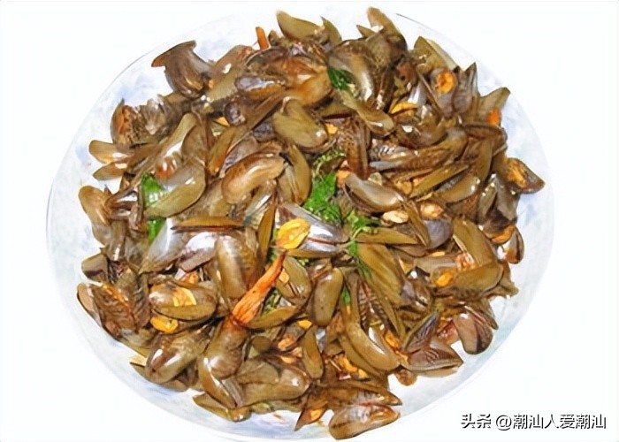 潮汕海鲜薄壳肉,潮汕各式海鲜海鲨