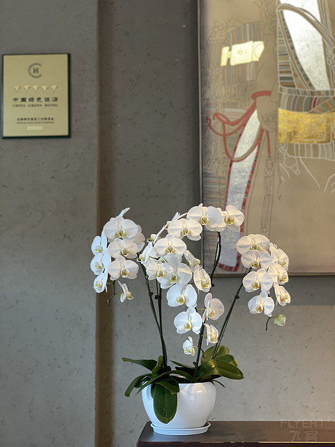 最爱的一家希尔顿酒店上线——九寨希尔顿度假酒店景观套房体验