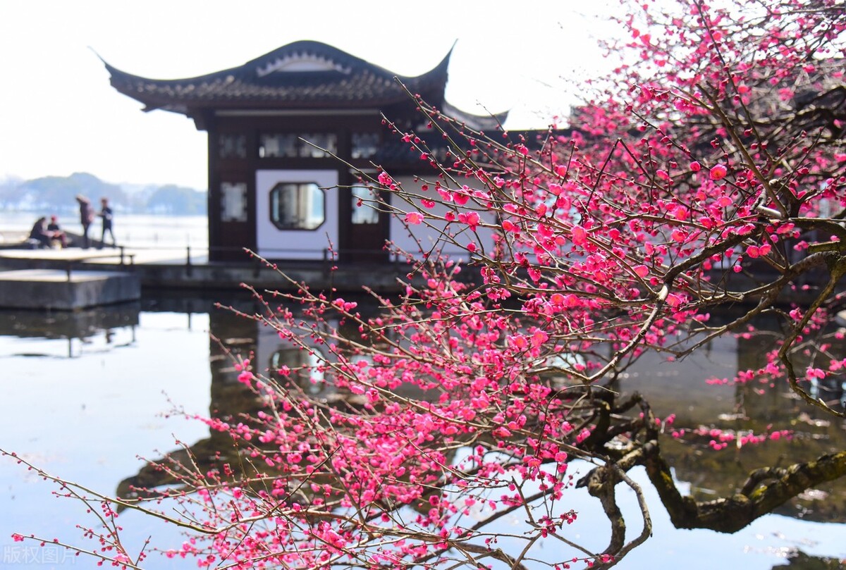 陆玉梅壬寅春日诗词/春在城南芳草路，人来陇上杏花天