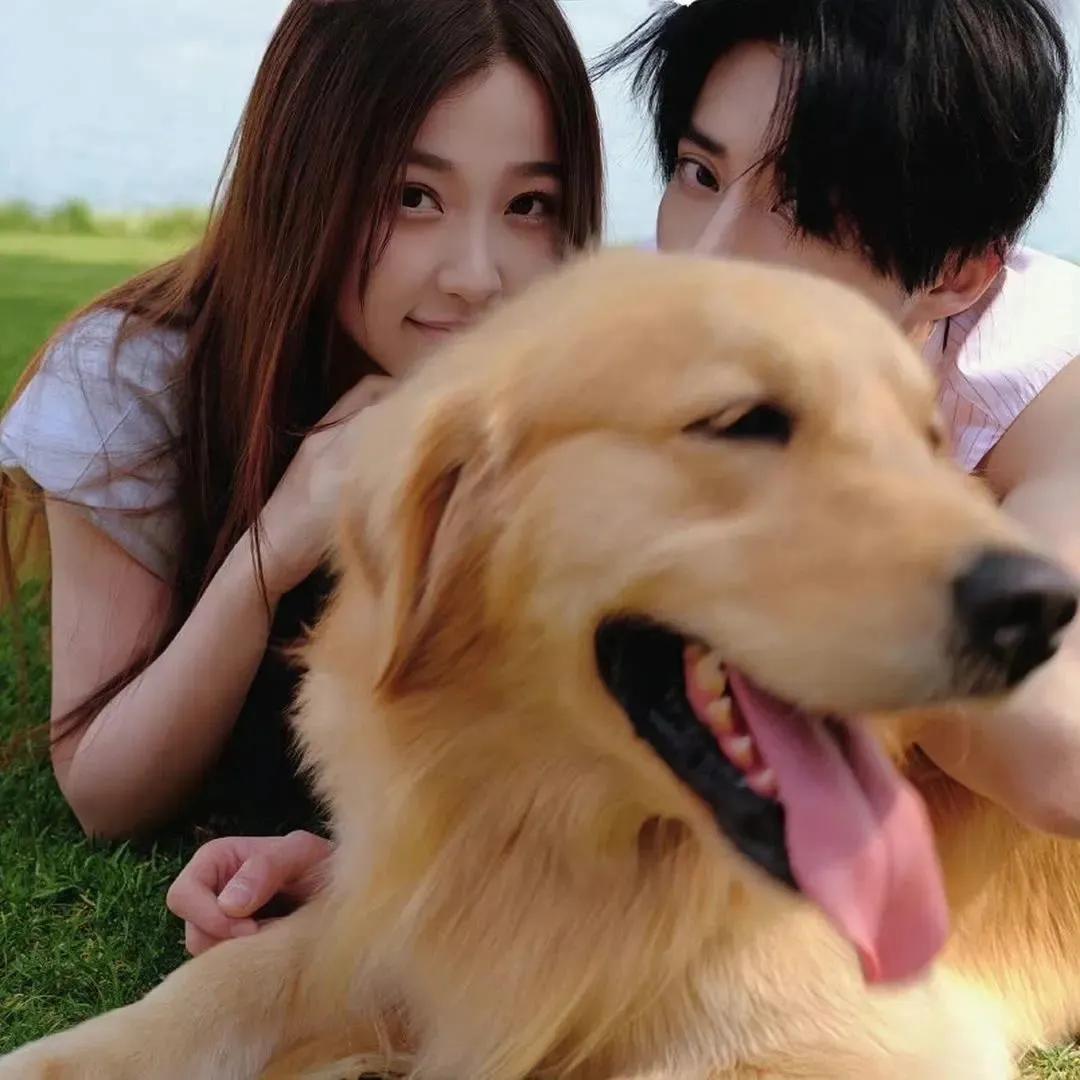 ins苍兰诀头像,wechat情侣单人头像