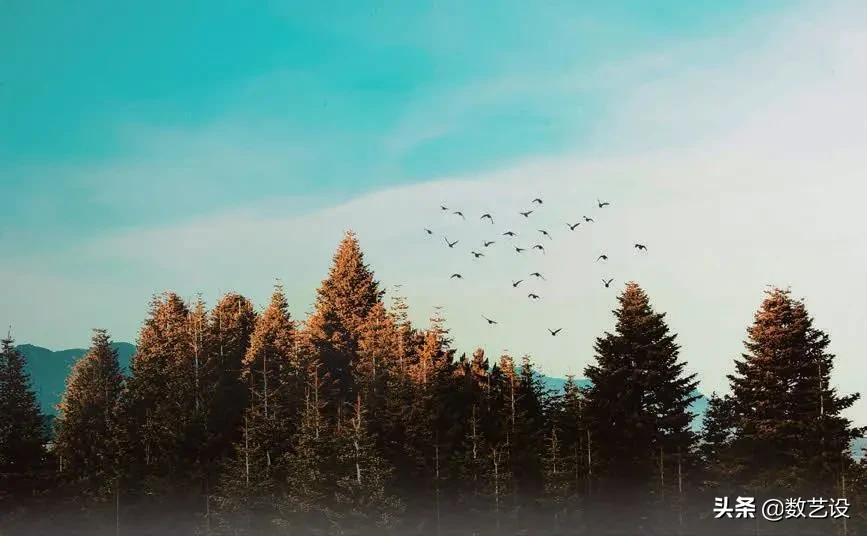 通道抠图如何选择对比强烈的,通道抠图知识点