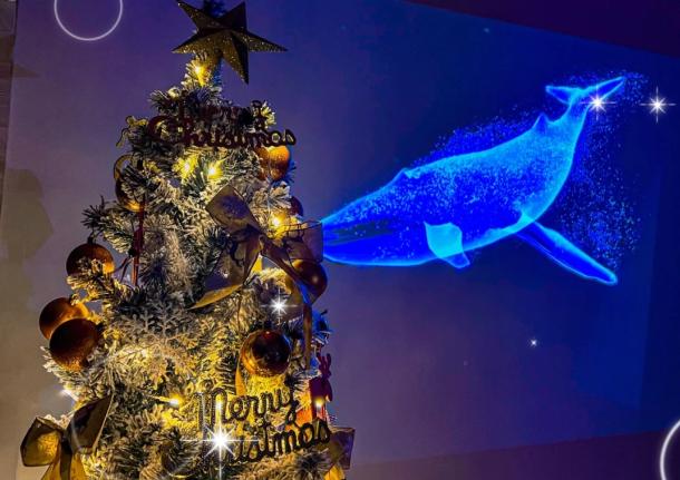 圣诞节礼物你更喜欢哪一款,圣诞节到底什么礼物最合适最贴心