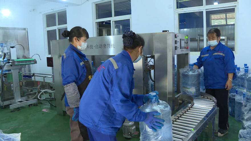 党建引领助力村民走上致富路,党建引领产业兴村