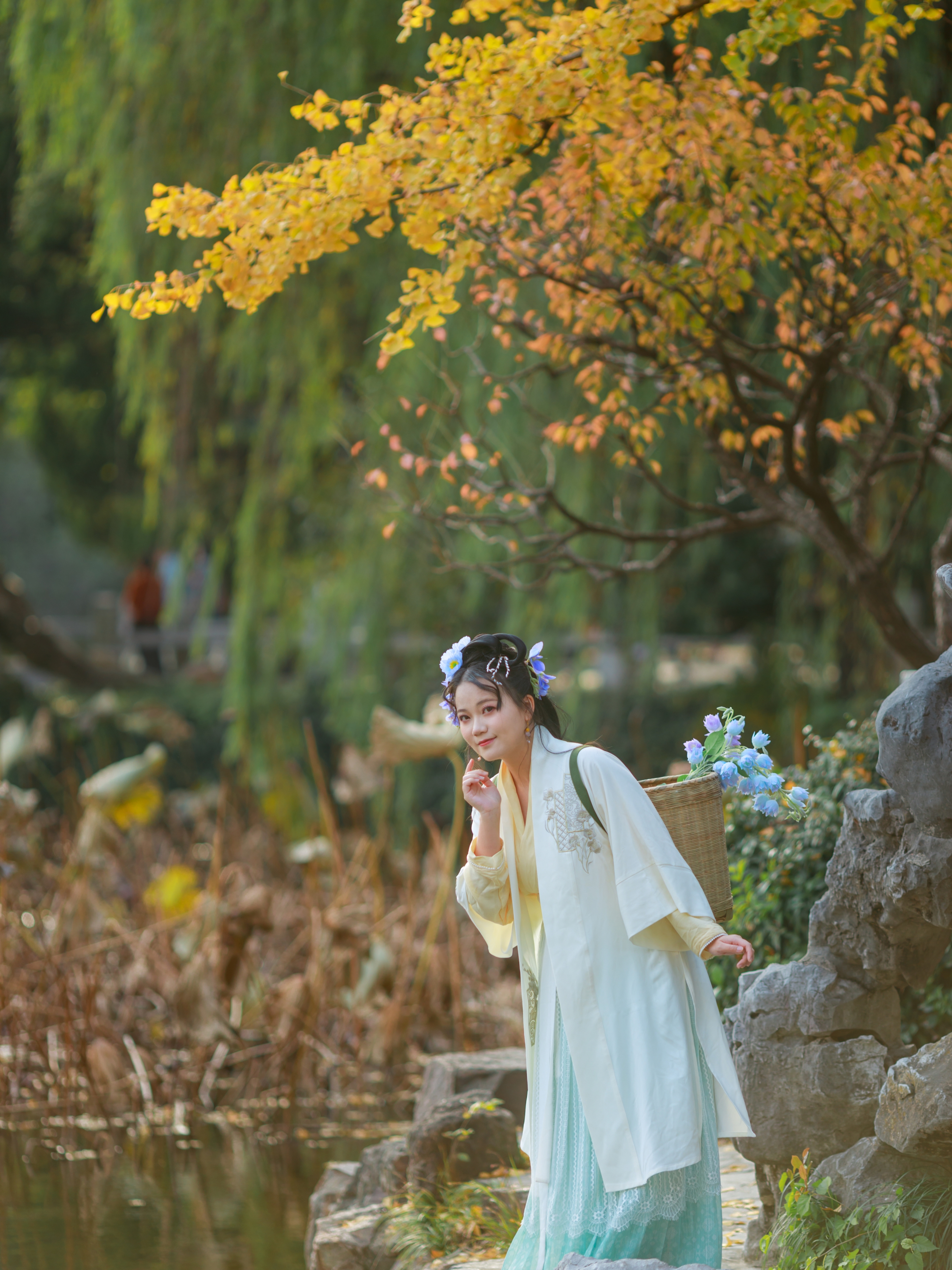 深情又婉约的秋词，枯黄了谁人的等待？